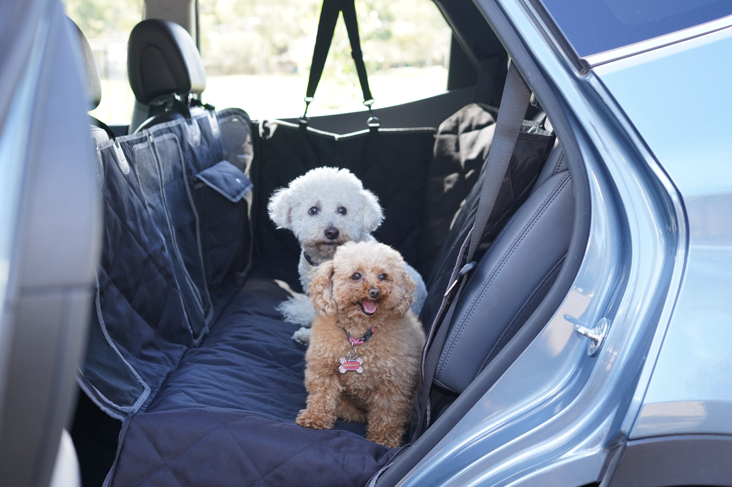 Perfect Dog Car Seat Cover with Mesh Windows and Thick Padding - Australia